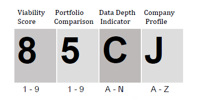 DnB-viabilit-score-sample2